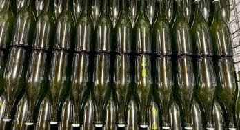 Elisa Christopher Wines bottles