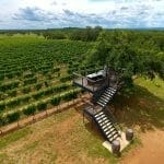 Sandy Road Vineyards – Two Sisters, a Texas Vineyard with a View, and a Treehouse