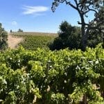 Paso Robles and Texas Wine Country – Part 2
